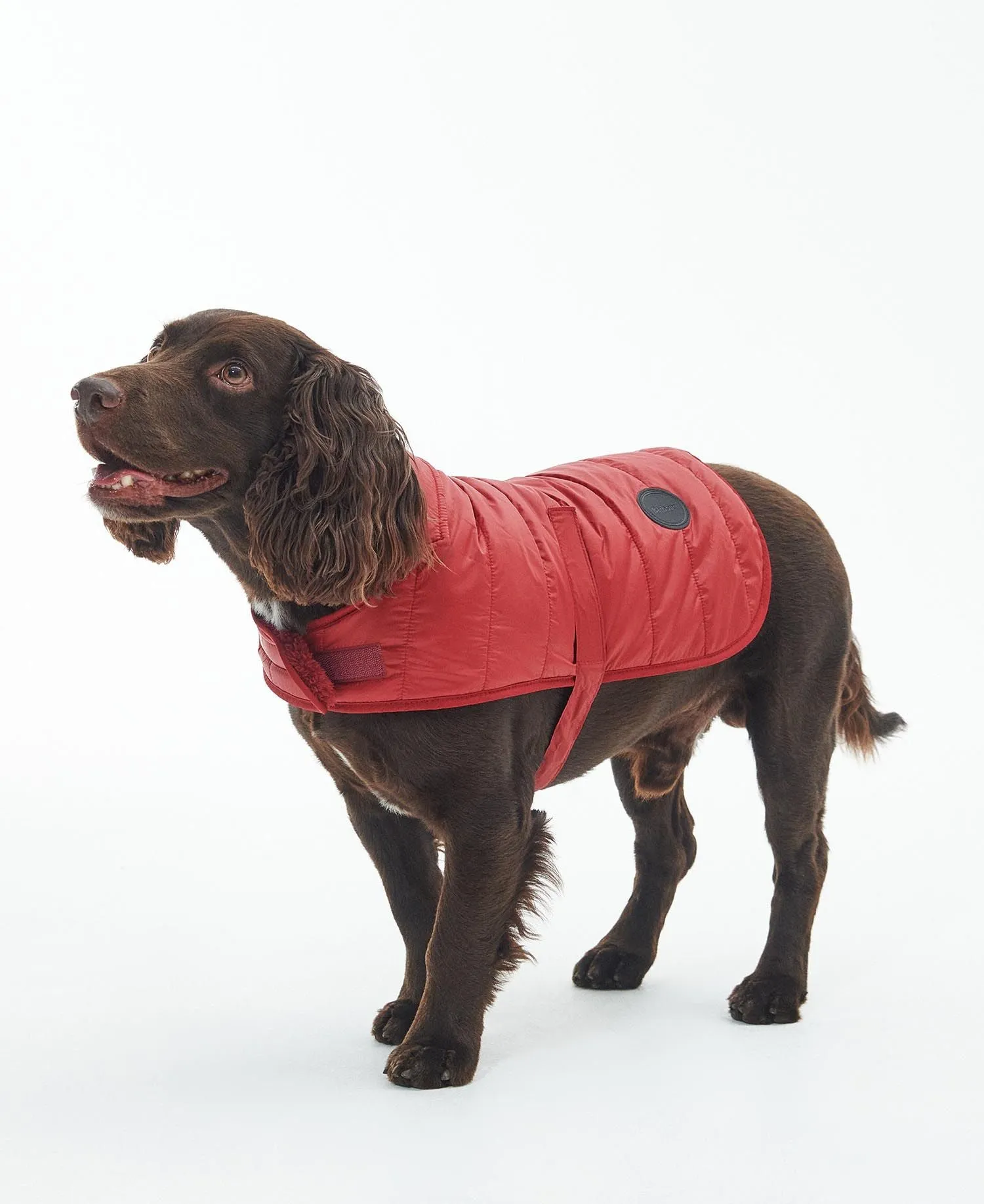 Barbour Baffle Quilted Dog Coat Wine