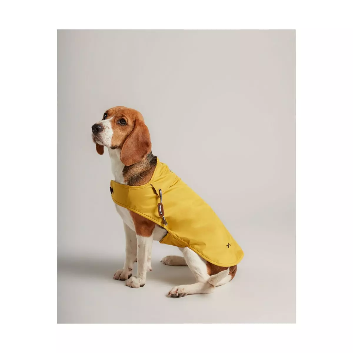 Joules Water Resistant Dog Coat