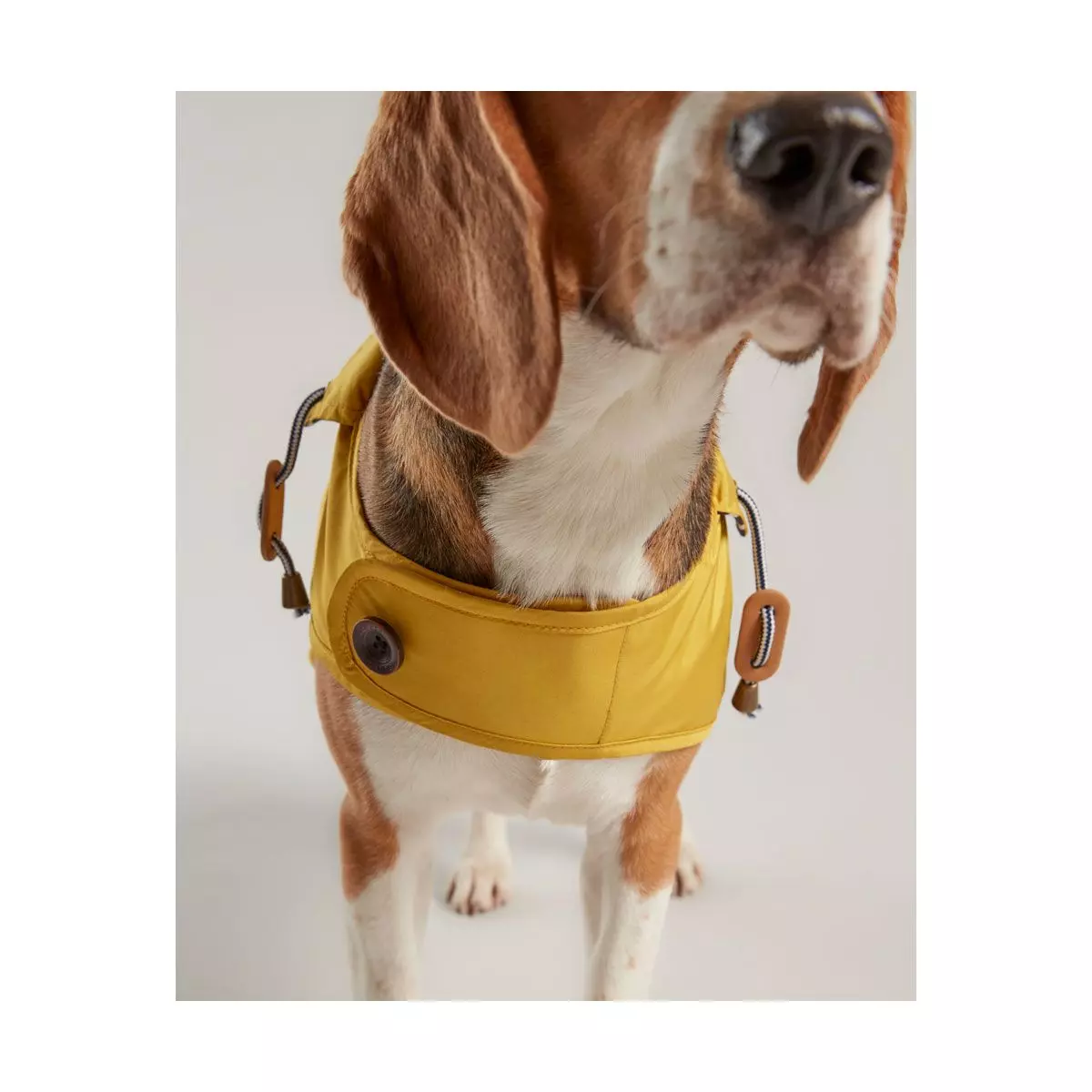 Joules Water Resistant Dog Coat