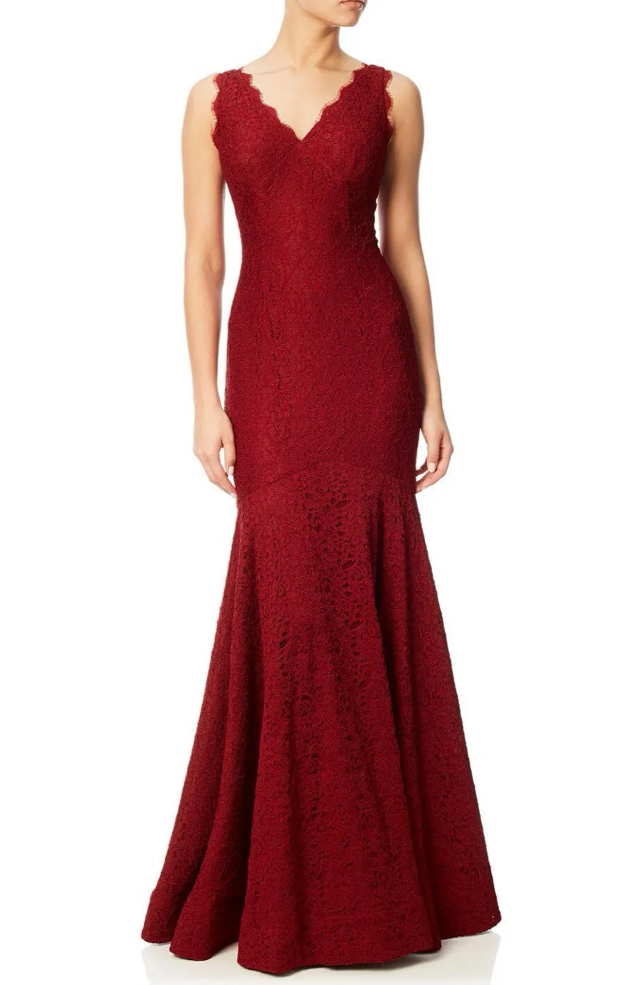 Rent: Adrianna Papell - Sleeveless V Neck Lace Trumpet Gown