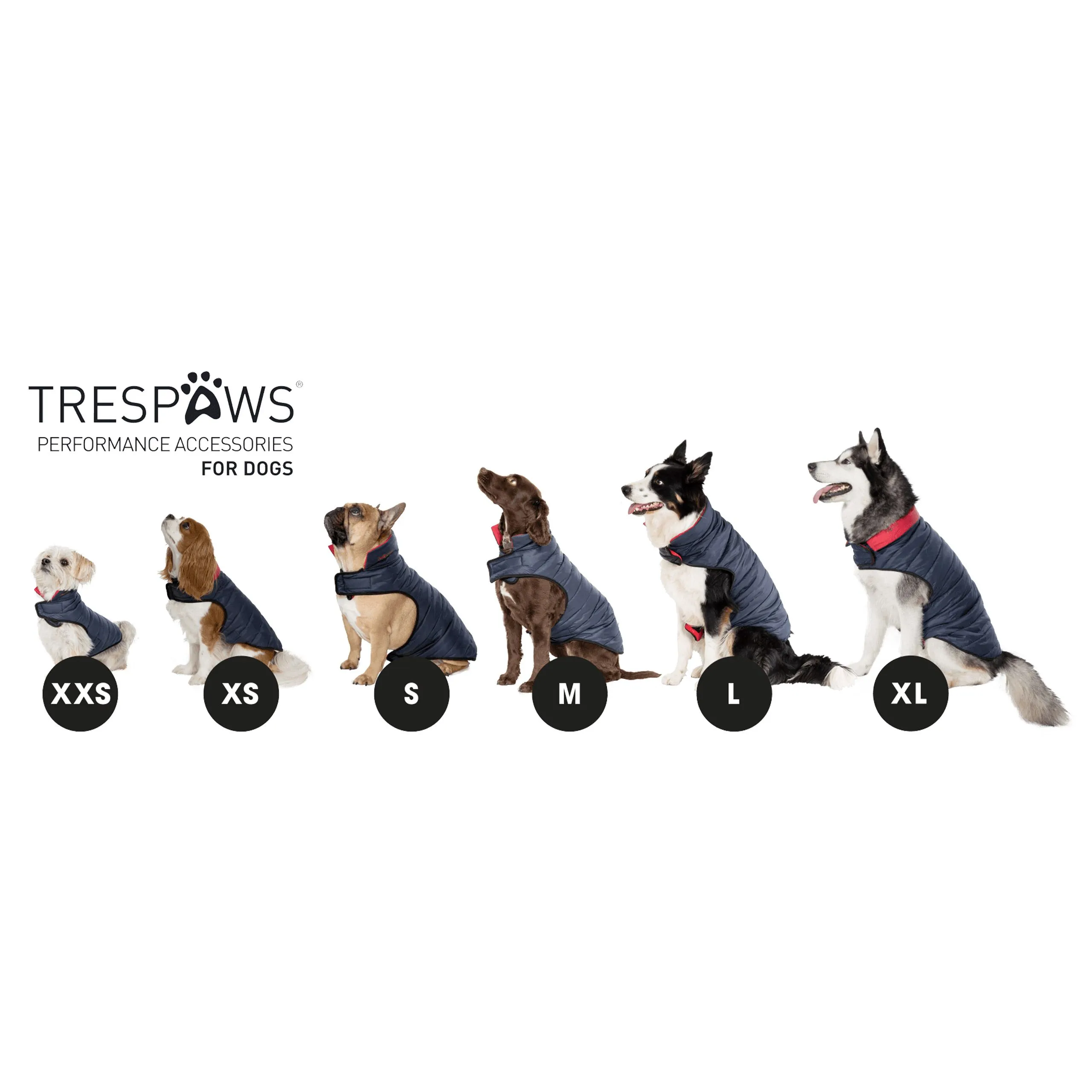 Trespaws Dogby Down Dog Coat